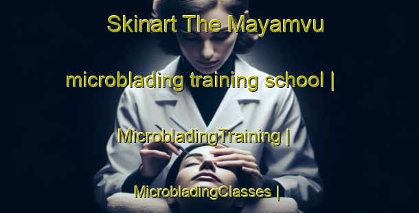 Skinart The Mayamvu microblading training school | MicrobladingTraining | MicrobladingClasses | SkinartTraining-the Democratic Republic of the Congo